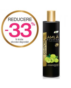 Amla Hair Cleanser DELUXE